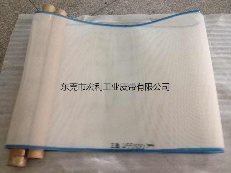 衛(wèi)生用品行業(yè)30目無縫聚酯網(wǎng)帶
