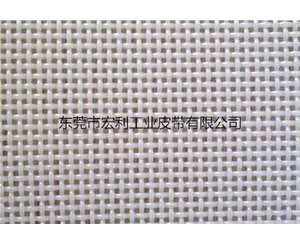 06702方孔聚酯網(wǎng)帶